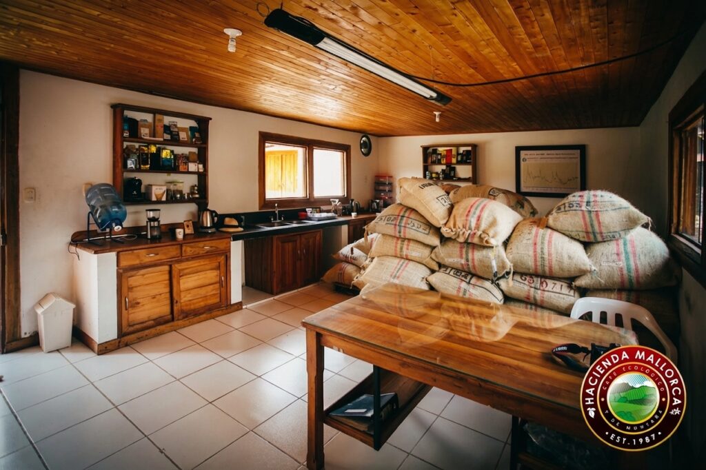 Specialty coffee quality control laboratory equipment